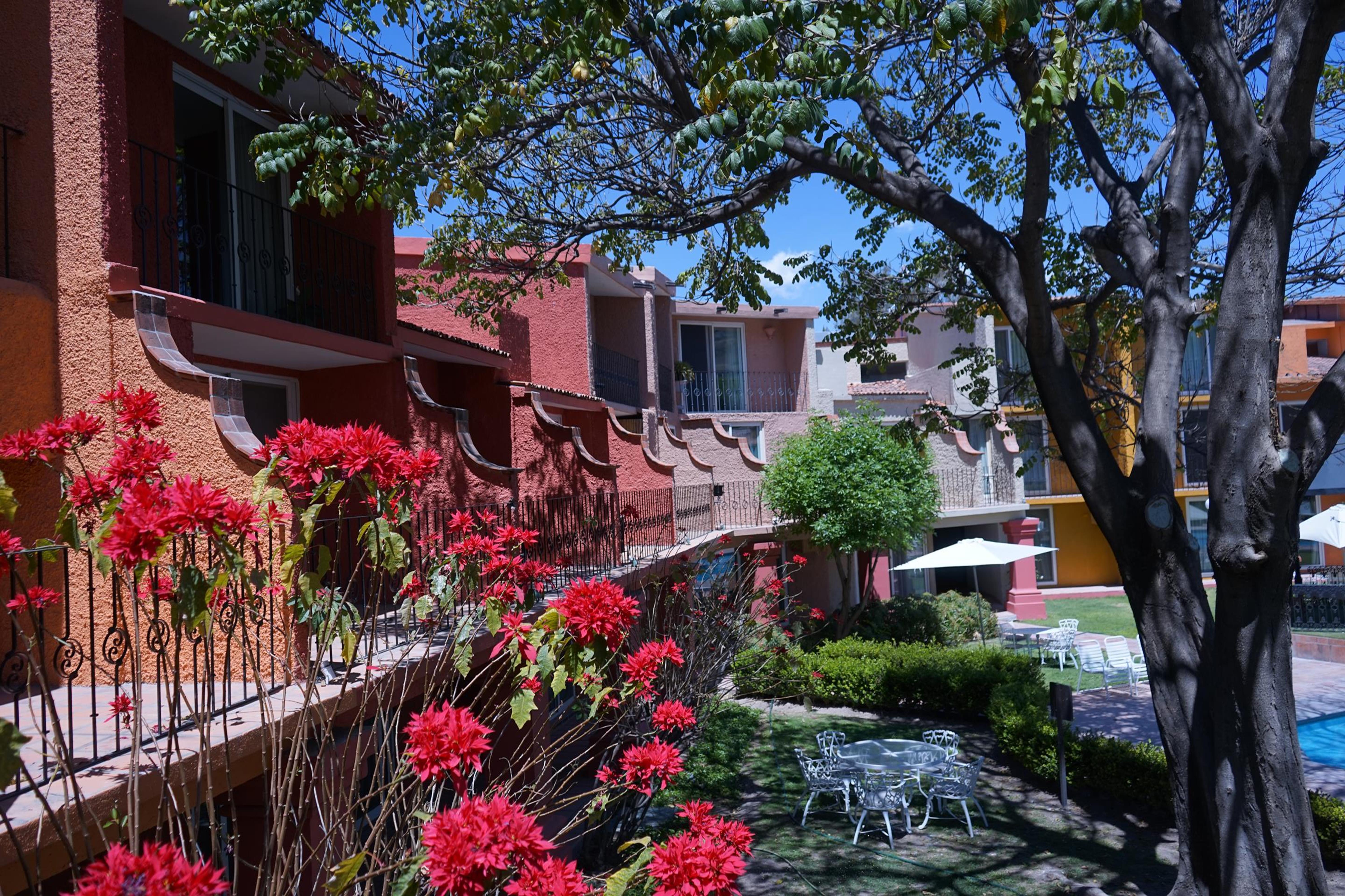 Real De Minas San Miguel De Allende Ngoại thất bức ảnh A view of the community