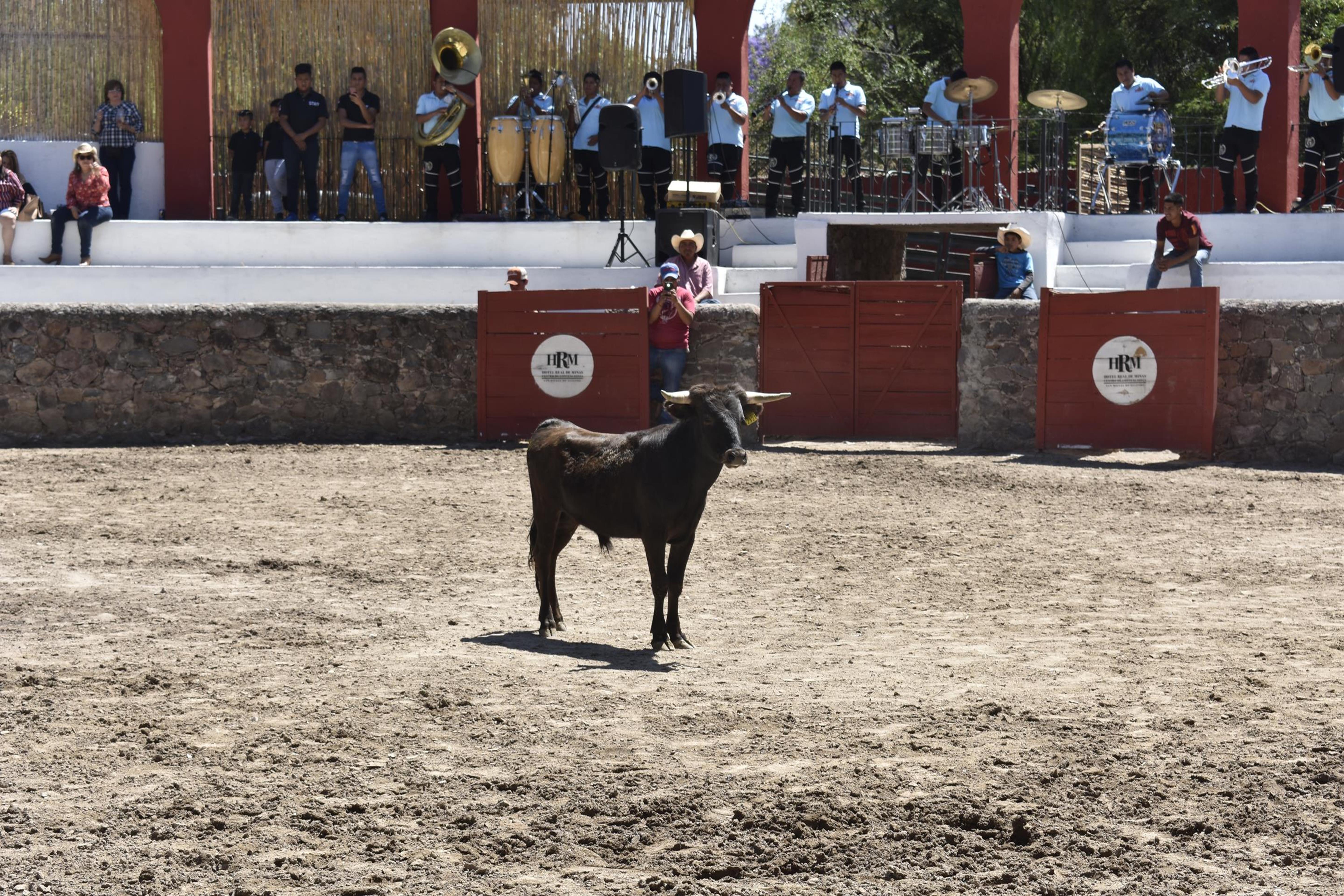 Real De Minas San Miguel De Allende Ngoại thất bức ảnh A bull in the bullring