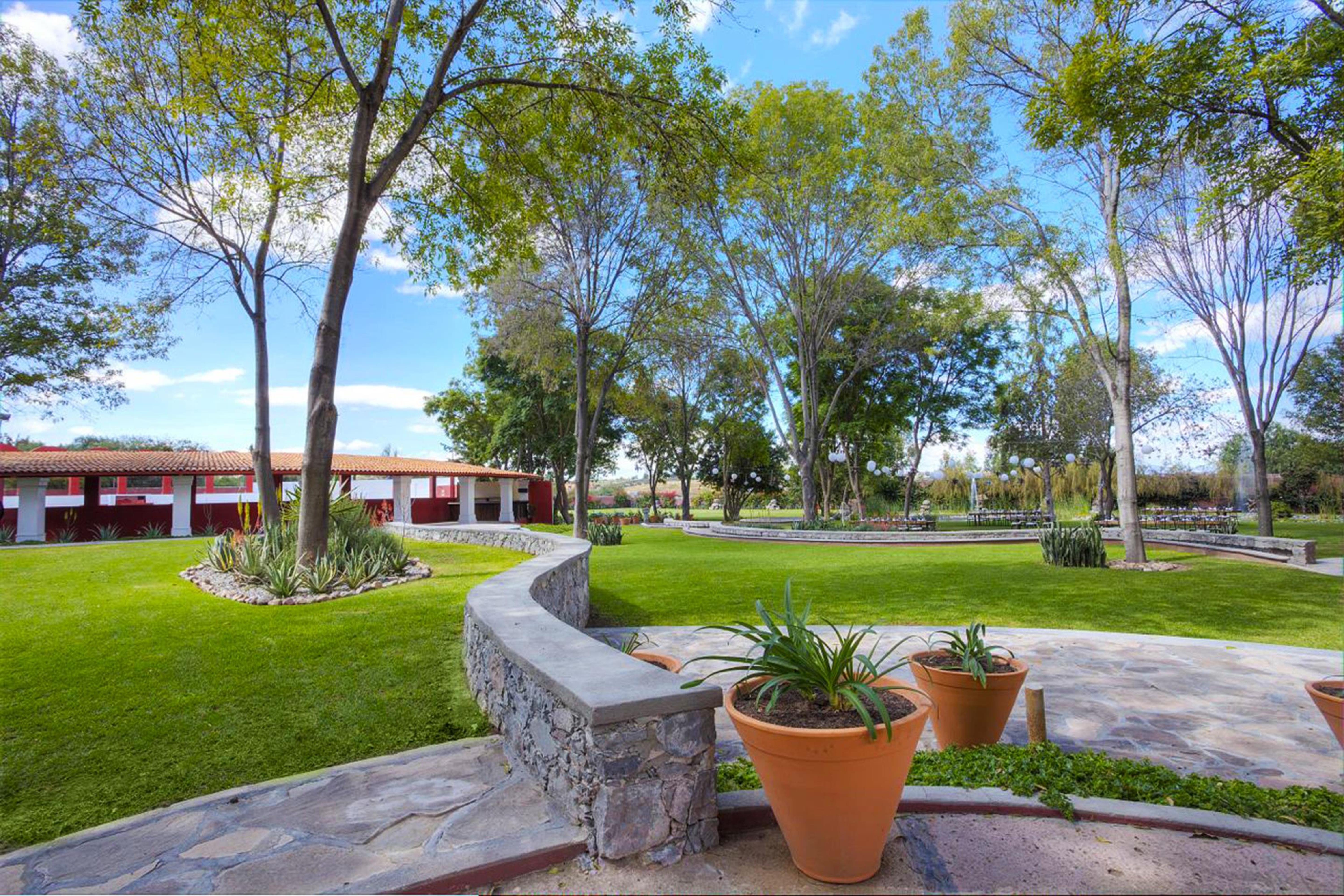 Real De Minas San Miguel De Allende Ngoại thất bức ảnh View of the main square in San Marcos