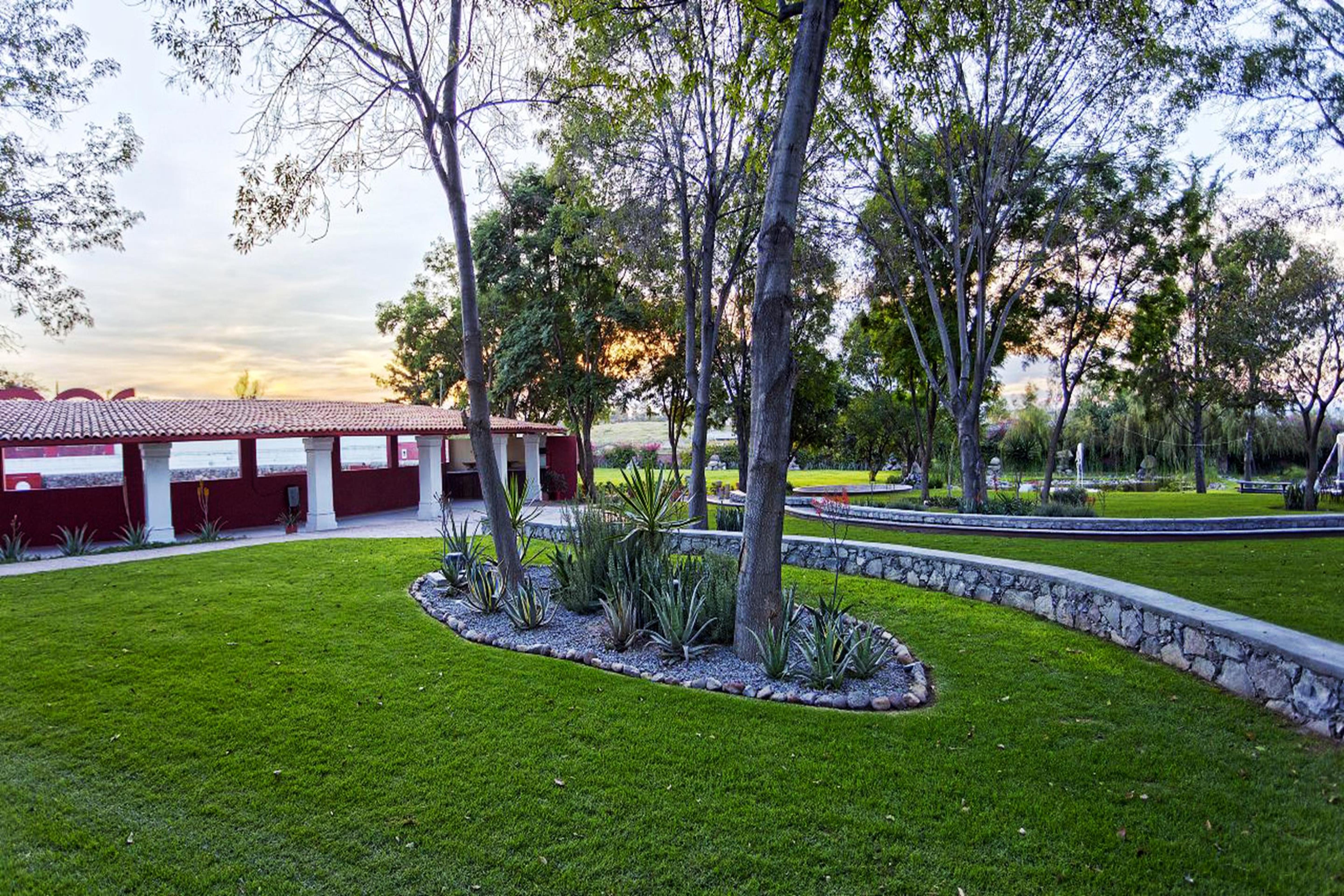 Real De Minas San Miguel De Allende Ngoại thất bức ảnh View of the park