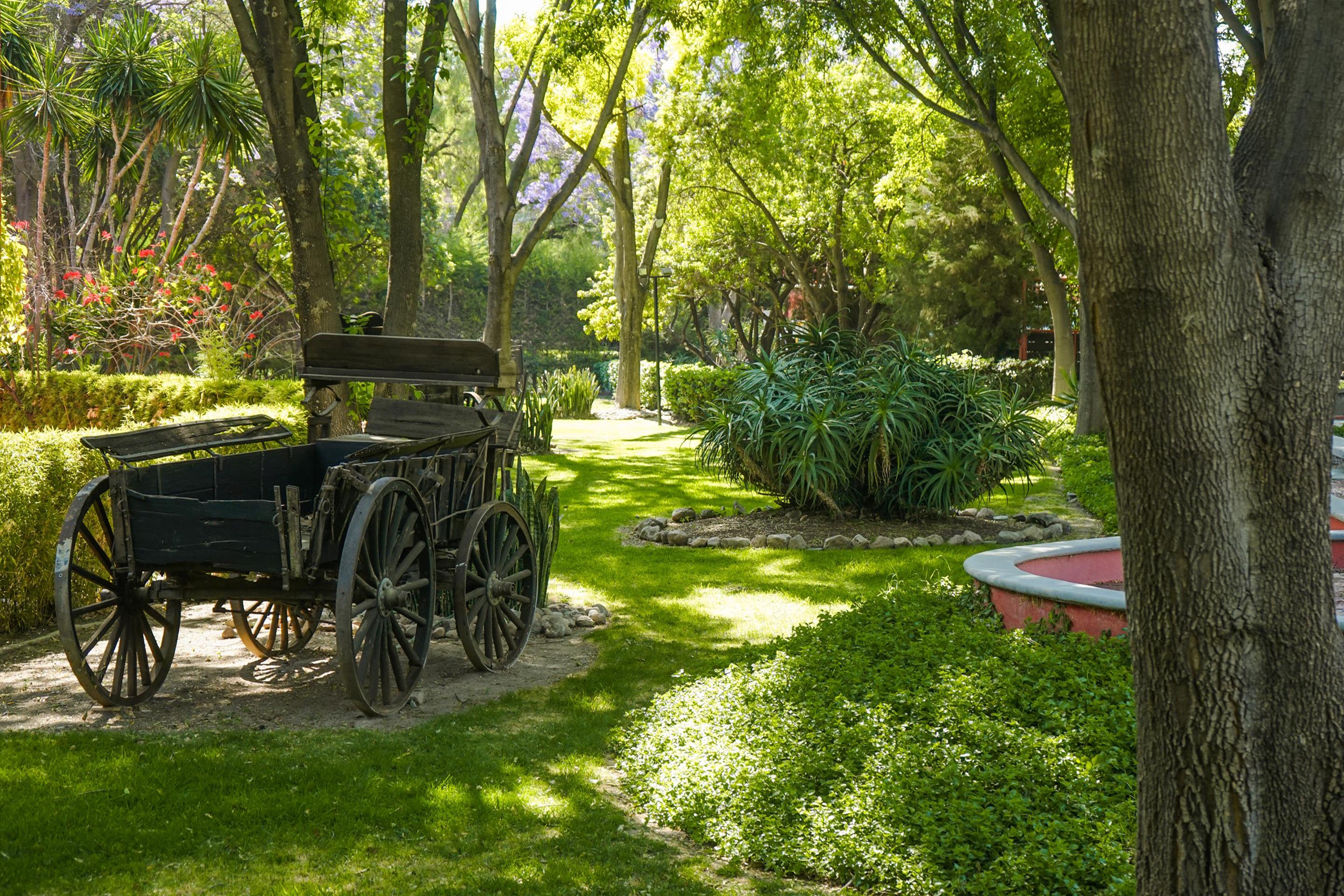 Real De Minas San Miguel De Allende Ngoại thất bức ảnh The gardens of the museum