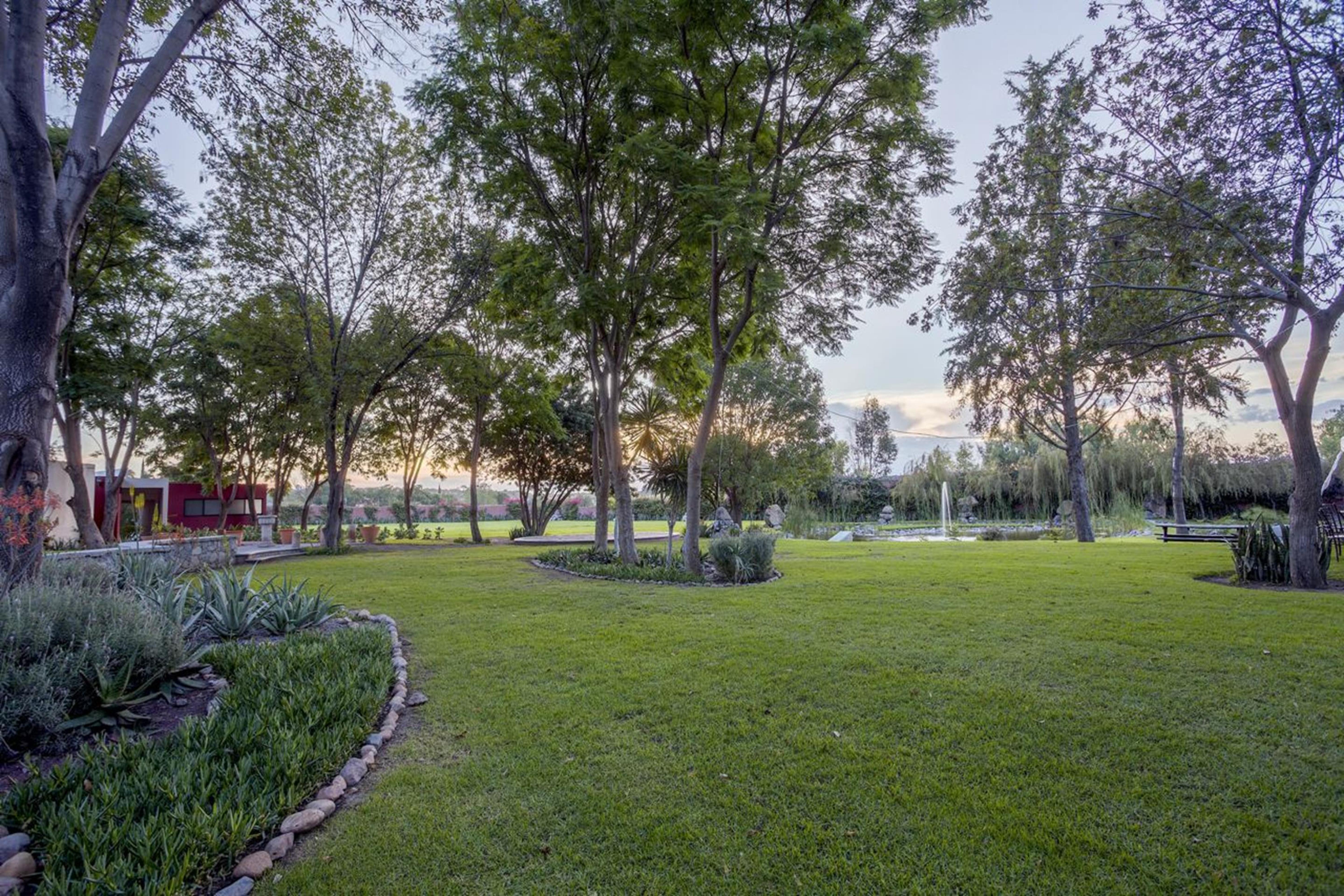 Real De Minas San Miguel De Allende Ngoại thất bức ảnh The park